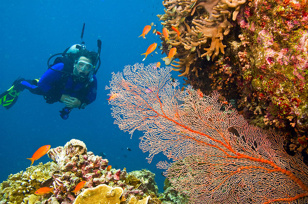 الحاجز المرجاني العظيم